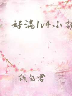 好满1v4小说