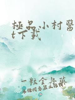 极品小村医txt下载