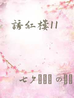 诱红楼11