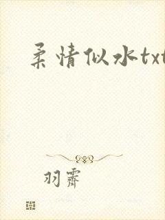 柔情似水txt