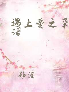 遇上爱之孕夫生活