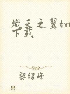 炽天之翼txt下载