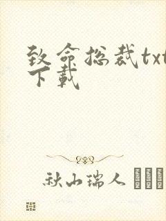 致命总裁txt下载