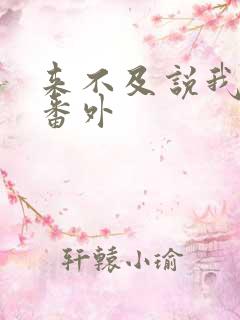 来不及说我爱你番外