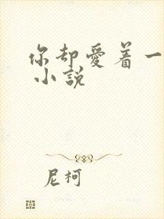 你却爱着一个他 小说