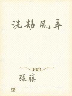 洗劫 风弄