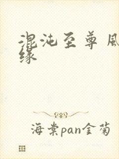 混沌至尊 风随缘