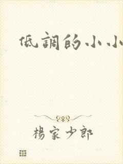 低调的小小宫女