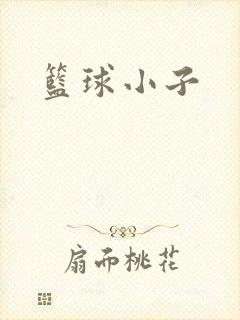 篮球小子