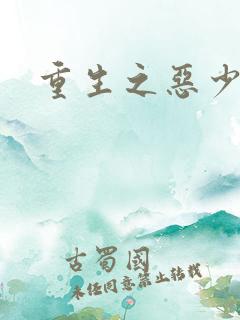 重生之恶少