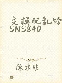 交换配乱吟粗大SNS840