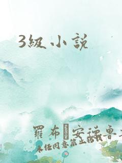 3级小说