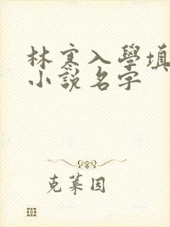 林寒入学填未婚小说名字