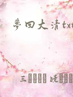 梦回大清txt