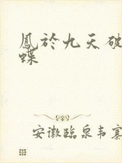 凤于九天破茧成蝶