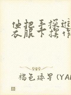 他把手探进我的衣服下摆作文