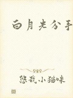 白月光分手日常