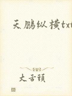 天鹏纵横txt