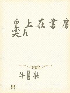 皇上在书房含乳尖h