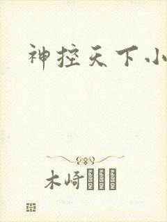 神控天下小说