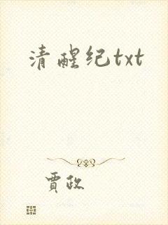 清醒纪txt