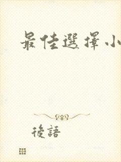 最佳选择小说