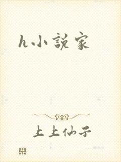 h小说家