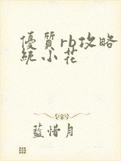 优质rb攻略系统小花