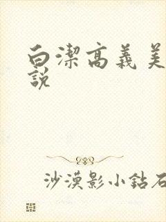 白洁高义美红小说