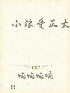 小狼爱正太