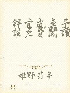 舒宜岚卓予淮小说免费阅读