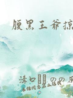 腹黑王爷掠邪妃