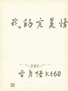我的完美情人