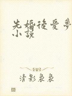 先婚后爱梦筱二小说