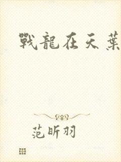 战龙在天叶凡