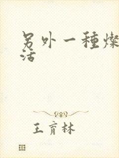 另外一种灿烂生活