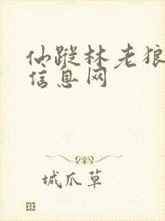 仙踪林老狼贰佰信息网