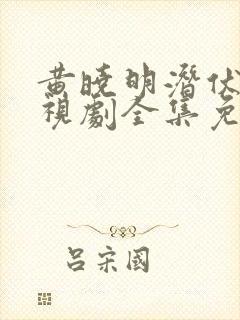 黄晓明潜伏者电视剧全集免费观看