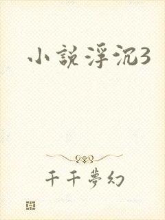 小说浮沉3