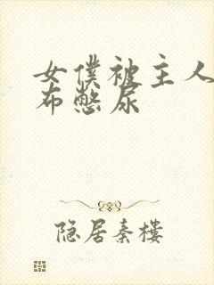 女仆被主人用胶布憋尿