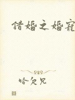 错婚之婚宠一世