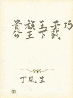 贵族王子巧遇穷公主下载