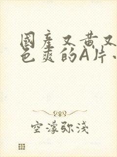 国产又黄又大又色爽的A片小说