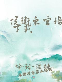 侯卫东官场笔记 下载