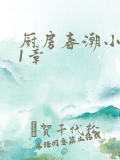 厨房春潮小说第1章