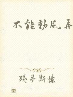 不能动风弄