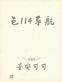 色114导航