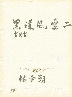 黑道风云二十年 txt