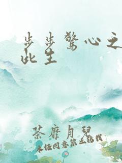 步步惊心之禛曦此生
