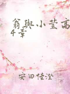 翁与小莹高潮24章